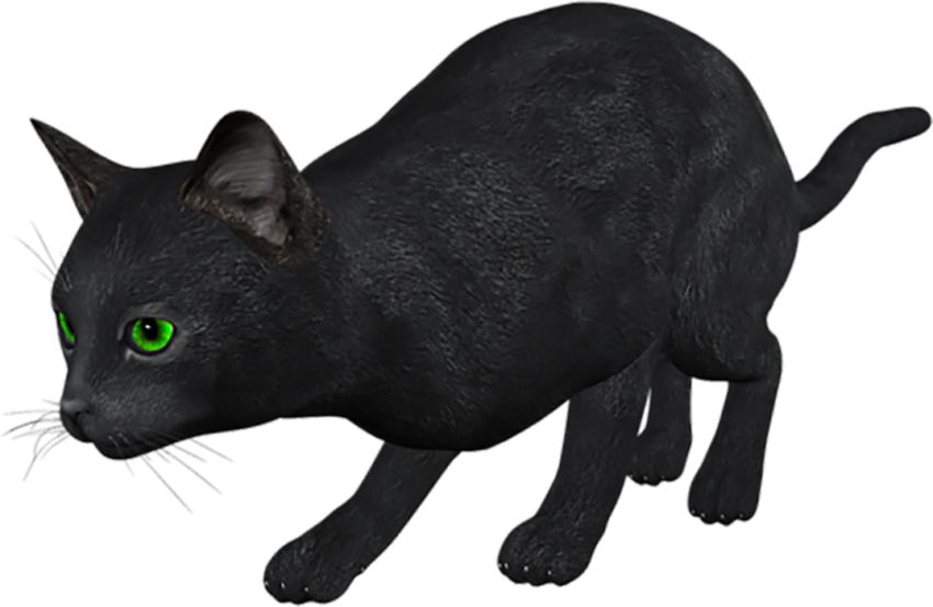 500 Black Cat HD Transparent PNG Full HD