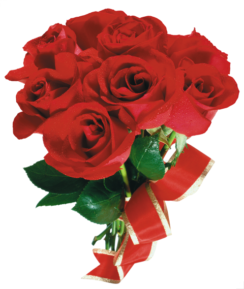 500 Bouquet Red Rose Flower PNG Hd