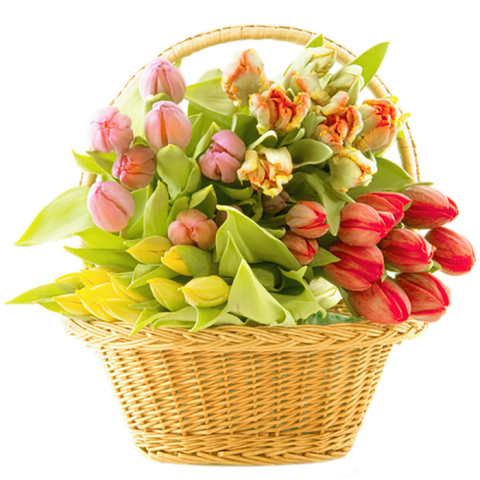 Amazing Bouquet Flowers Png Images