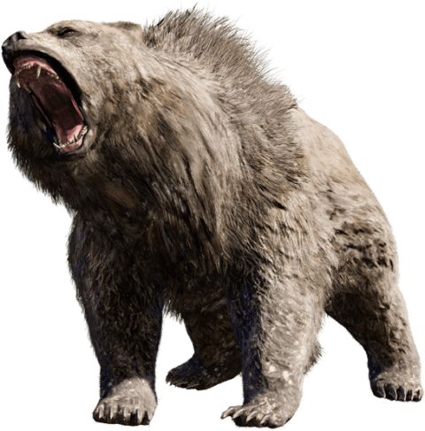 Angry Bear PNG Full HD Download