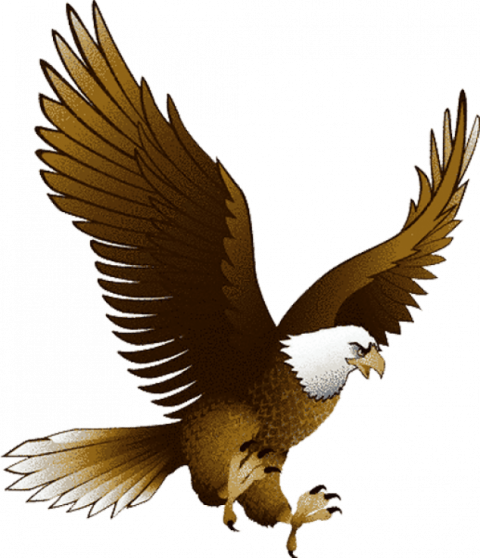 Bald Eagle Transparent Images HD