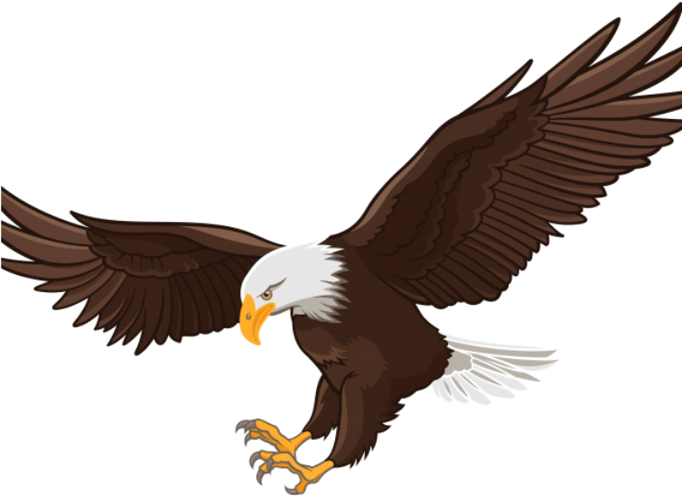 Bald Eagle Transparent PNG Full HD