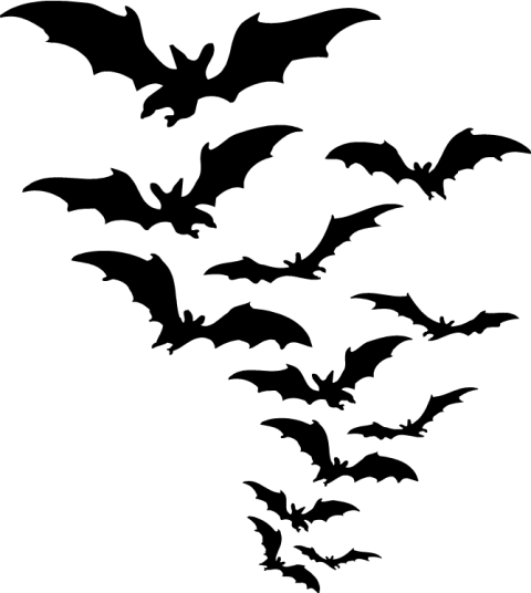 Bat Silhouette Transparent Free PNG