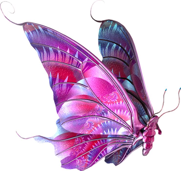 Beautiful Butterfly PNG Images Download