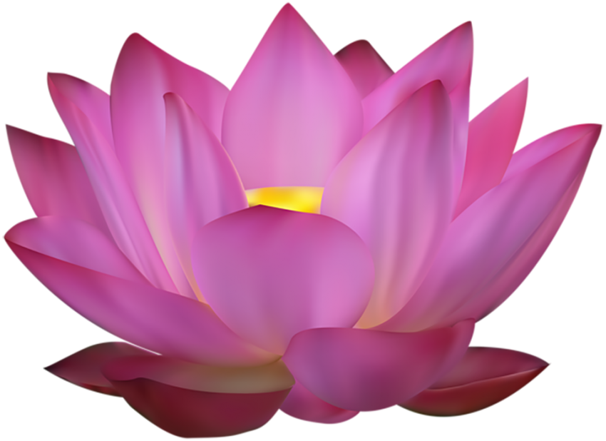 Beautiful Lotus Flower PNG Download   963x700