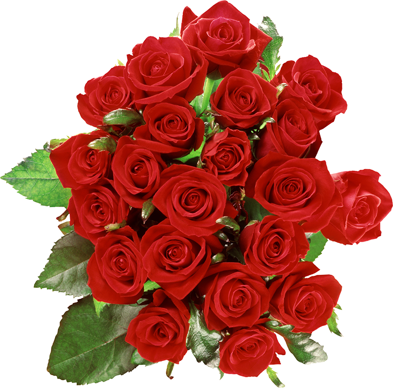 Beautiful Rose Bouquet Flower PNG