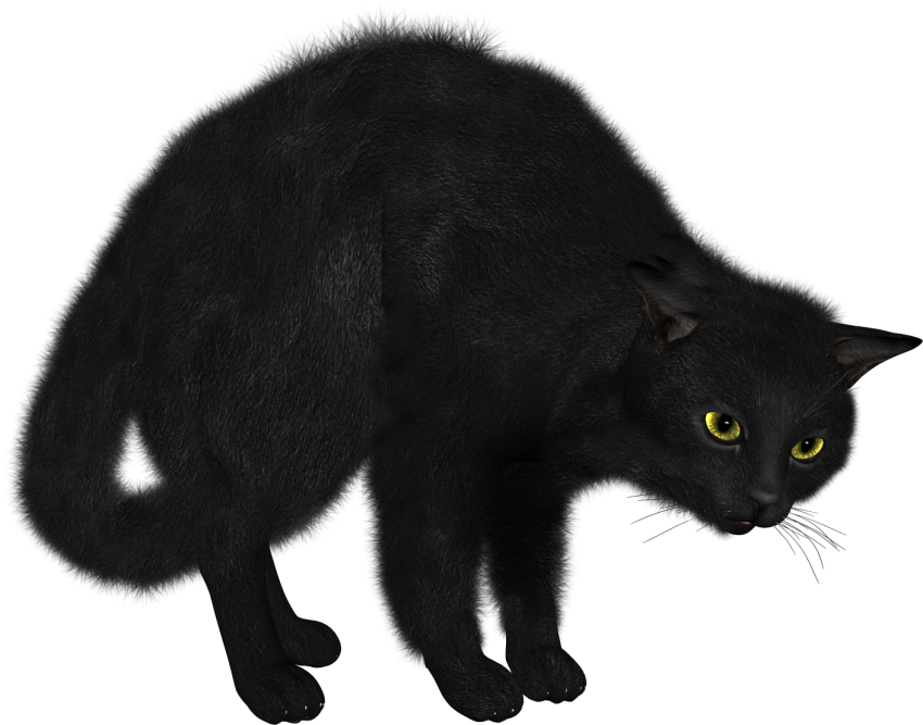 Black Cat PNG Transparent Images
