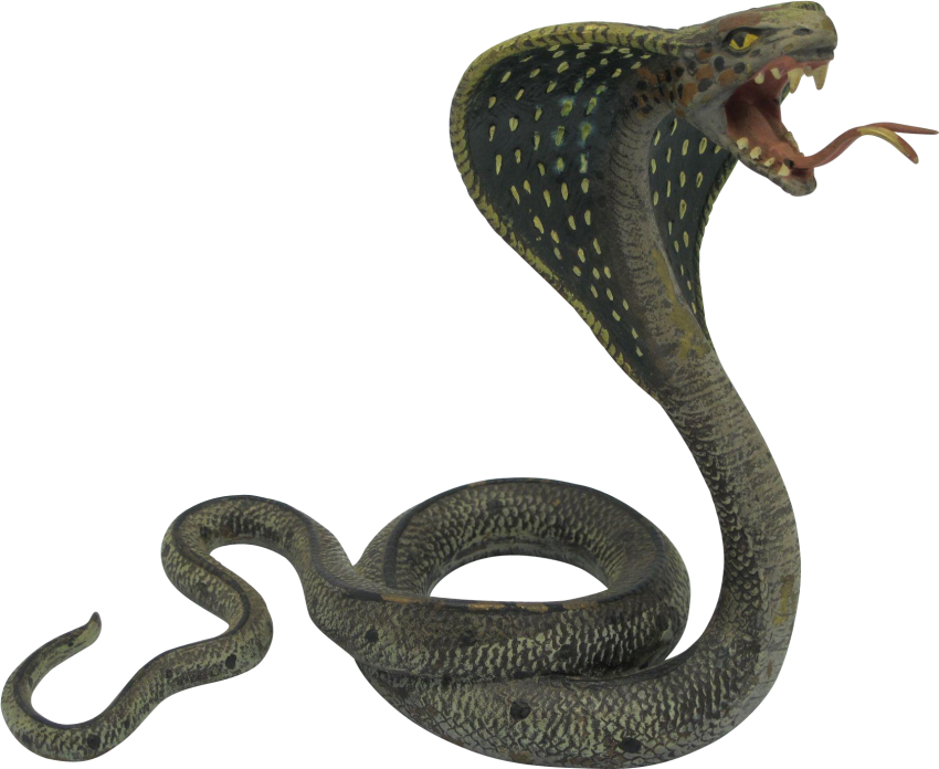 Black Scary Cobra PNG Full HD
