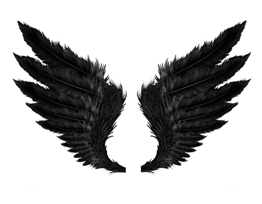 Black Wings PNG Transparent Images