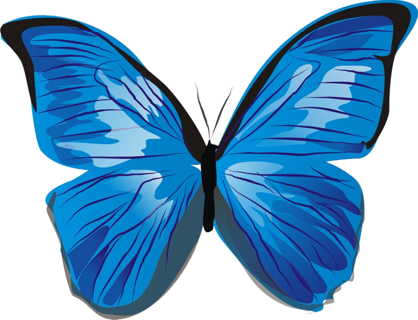Blue Butterfly HD PNG Images Free