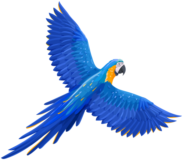 blue Parrot Transparent Free PNG