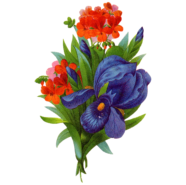 Bouque Flowers PNG free Download Full HD