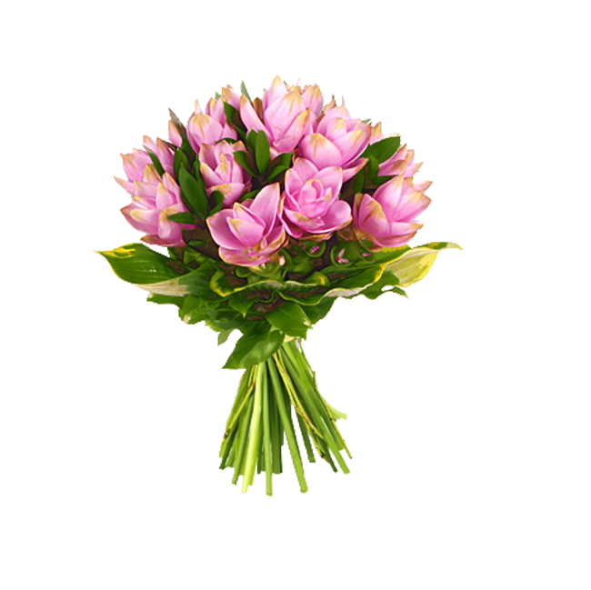 Bouque Flowers PNG Images  free Download