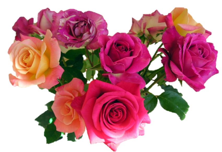 Bouquet Flowers PNG For Editing