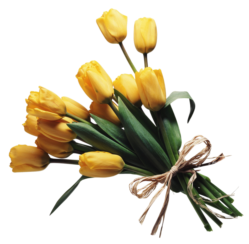Bouquet Of Yellow  Flowers Png Images