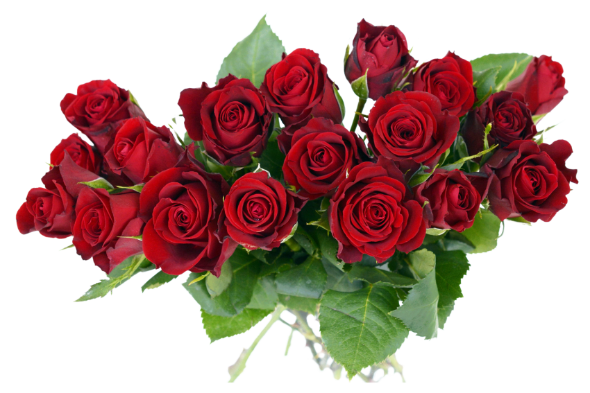 Bouquet Rose Flowers PNG clipart Hd