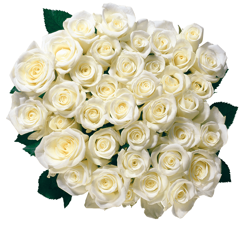 Bouquet White Gulab Flowers Png