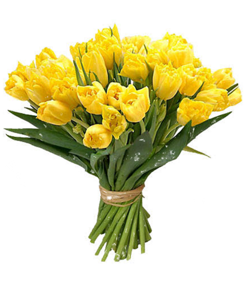 Bouquet Yellow Rose Flowers PNG