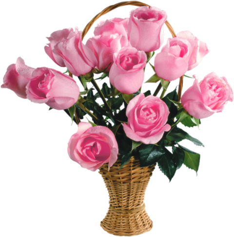 Bunch Of Flowers Images PNG Hd