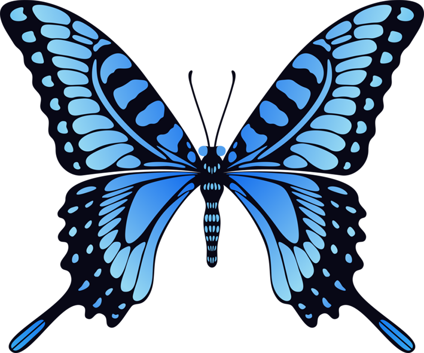 Butterfly Blue HD PNG Images Download