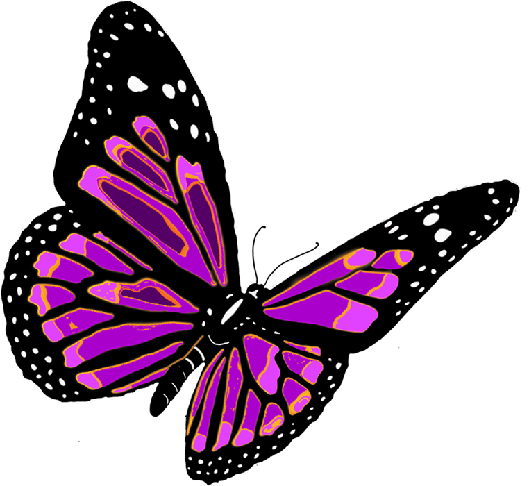 Butterfly Clipart PNG Images For Editing
