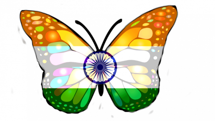 Butterfly Indian Flag Logo Png Images Free Download