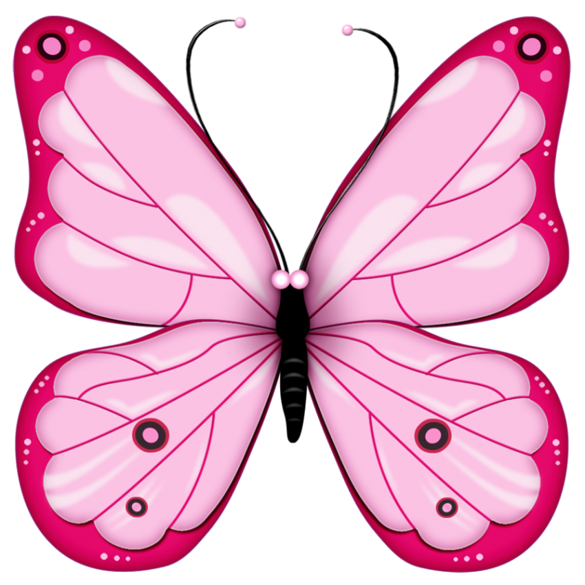 Butterfly PNG Images For Photo Editing
