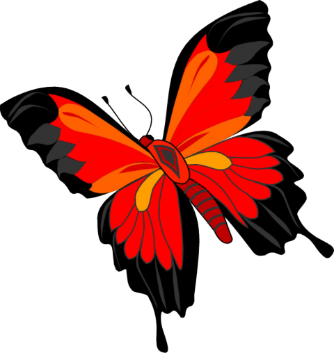 Butterfly Red HD PNG Images Download