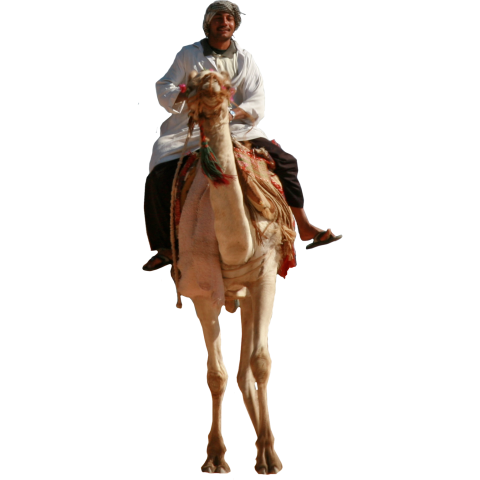Camel Man Riding PNG Image