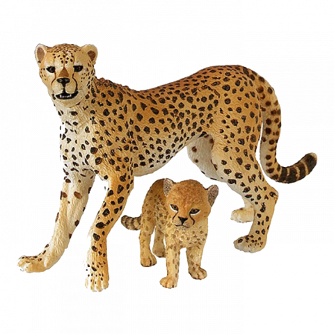 Cheetah PNG Full HD Download Free