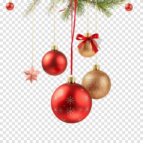 Christmas Decorations Elegantly Hanging From A Tree Branch Png