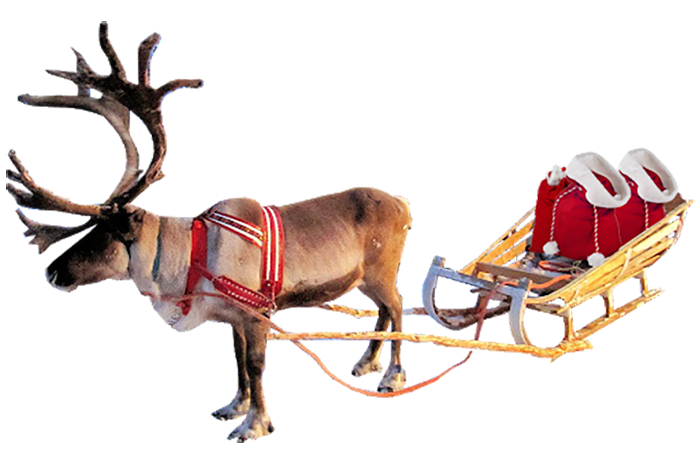 Christmas Reindeer Clipart PNG Download Free