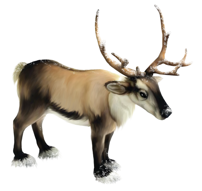 Christmas Reindeer Png Images transparent