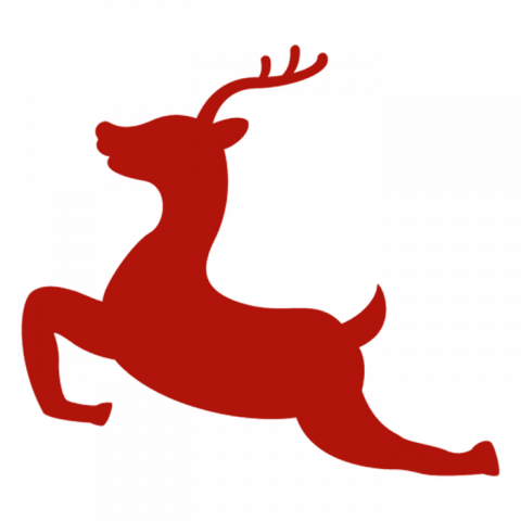 Christmas Reindeer PNG Transparent HD Photo