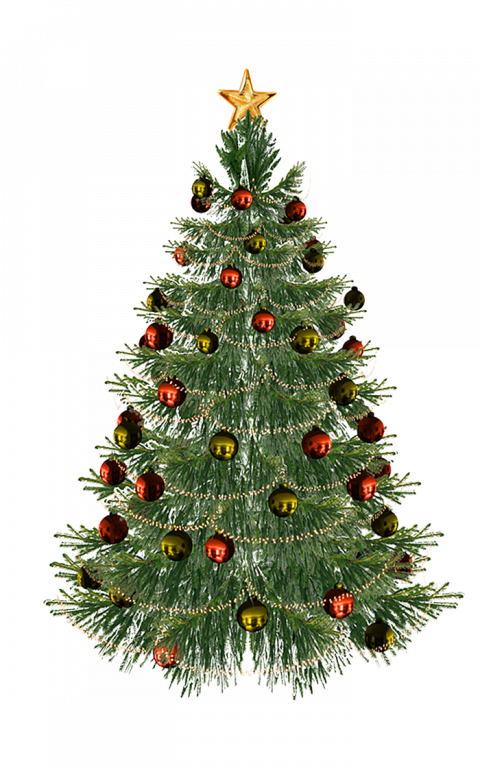Christmas Tree PNG Download Full HD Free