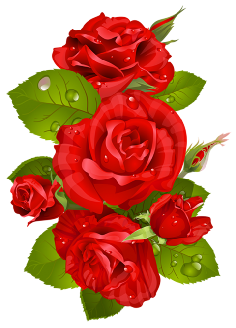 Clipart Red Rose Flower PNG Hd
