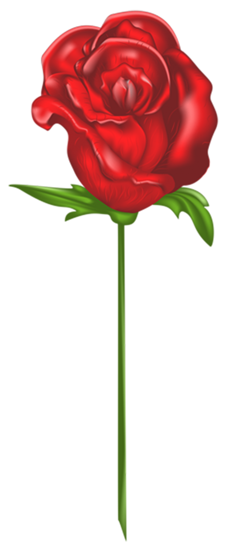 Clipart Red Rose Single Flower PNG
