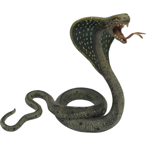 Cobra Snake Transparent HD PNG