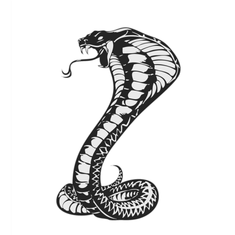 Cobra Transparent Images Download