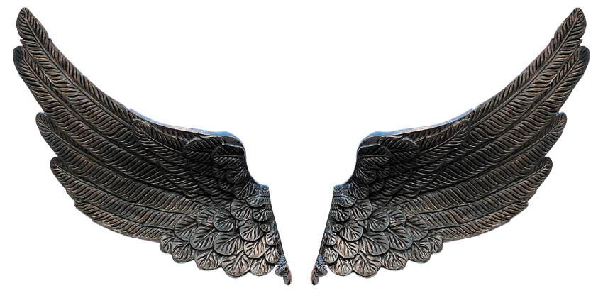 Devil Wings PNG Images For Photo Editing
