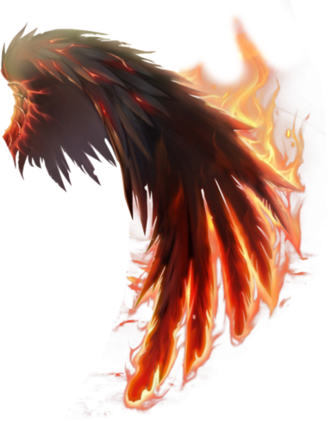 Dragon Wings of Fire PNG image Full HD
