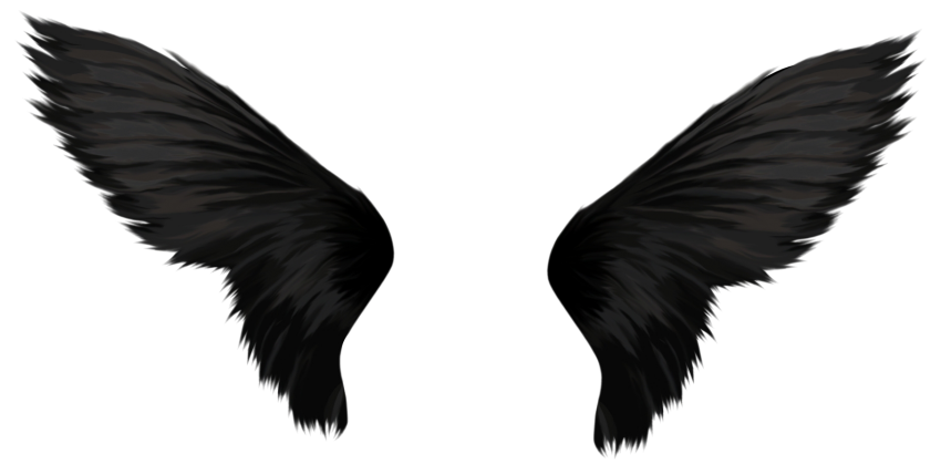 Dragon Wings PNG Pic Images Full HD