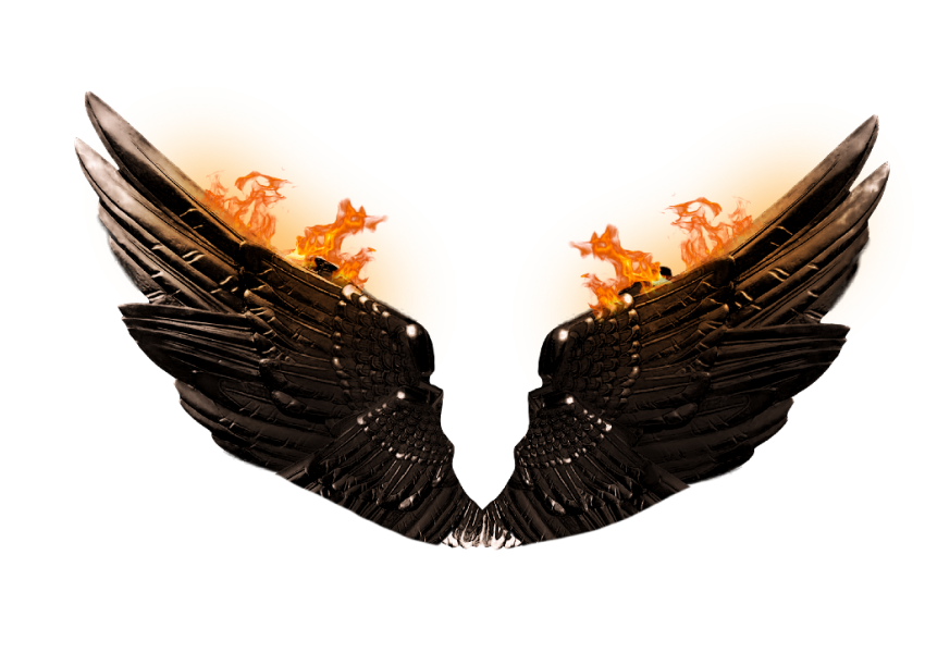Dragon Wings Transparent Background PNG
