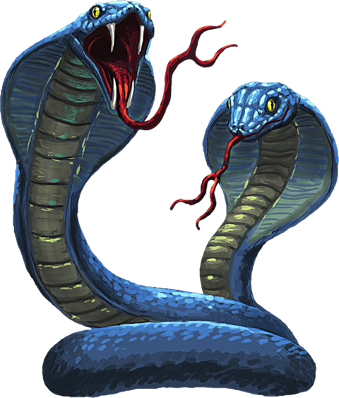 Drawing Cobra Snake PNG Download