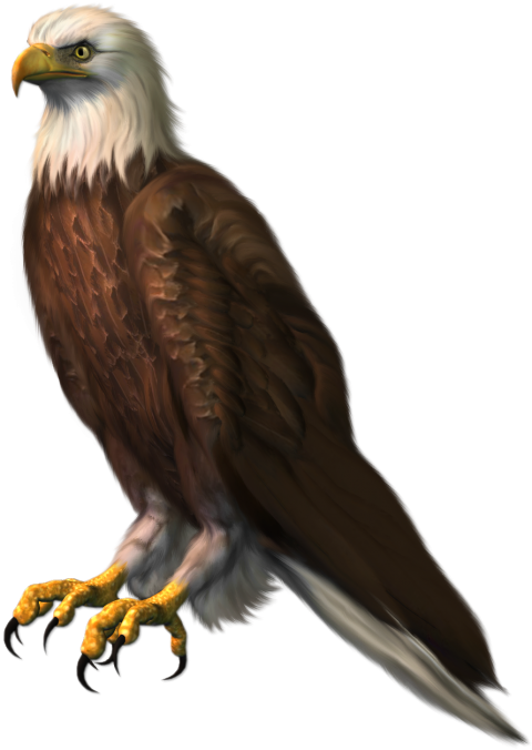 Eagle PNG Clipart Image Full HD