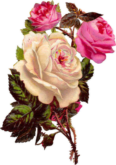 Flowers Png Hd Images Download