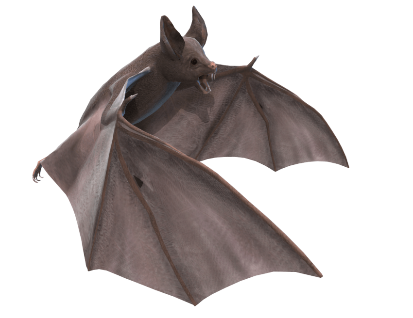 Flying Bat Download Free PNG