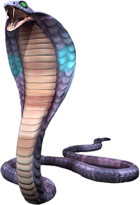 Full HD Cobra Snake PNG Download