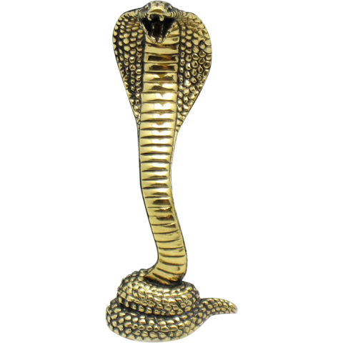 Golden Cobra Snake PNG Download