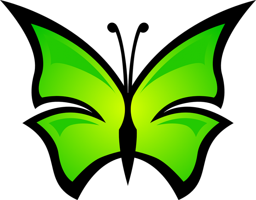 Green Butterfly HD PNG Images